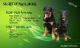 beauceron-s-pp